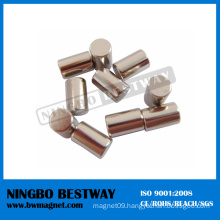 China 100 Mmm N52 Neodymium Cylinder Magnet Generators